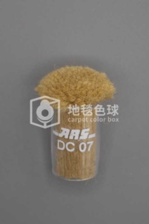 ARS DC07
