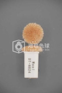 DT N824