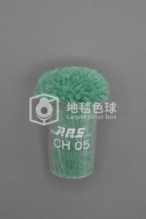 ARS CH05