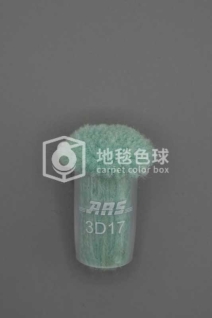 ARS 3D17
