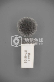 DT N106