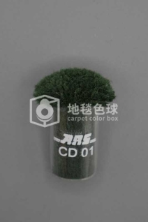 ARS CD01