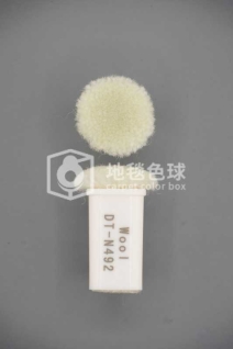 DT N492
