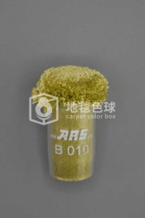 ARS B010