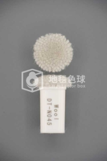 DT N045