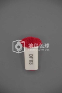 DF113
