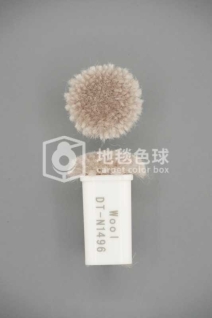 DT N1496