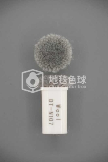 DT N107