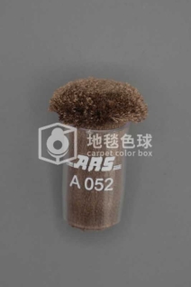 ARS A052