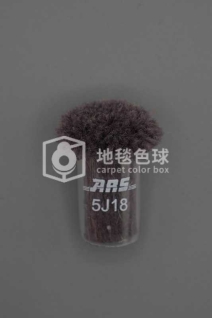 ARS 5J18