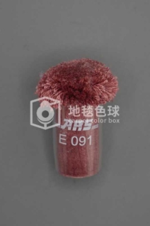 ARS E091