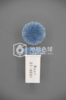 DT N691