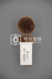 DT N301