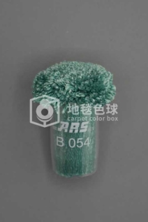 ARS B054