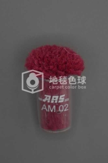 ARS AM02