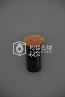 06G2