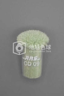 ARS CD09