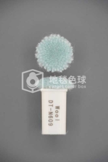 DT N609