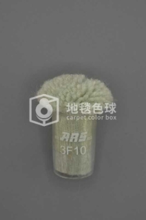 ARS 3F10