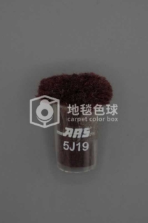 ARS 5J19