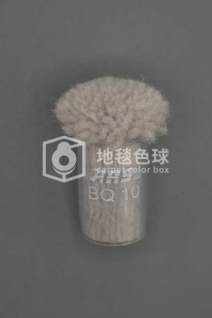 ARS BQ10
