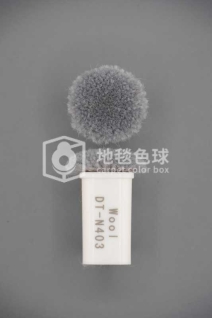 DT N403