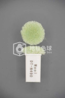DT N490