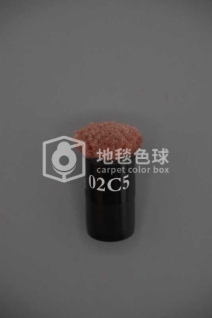02C5