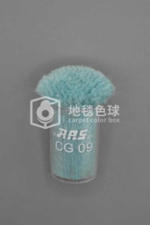 ARS CG09