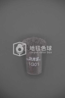ARS 1G01