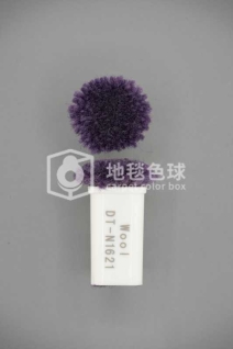 DT N1621