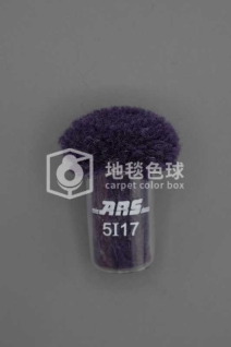ARS 5I17