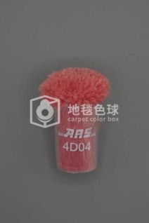 ARS 4D04
