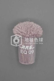 ARS EQ09