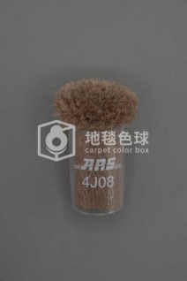 ARS 4J08