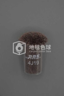 ARS 4J19