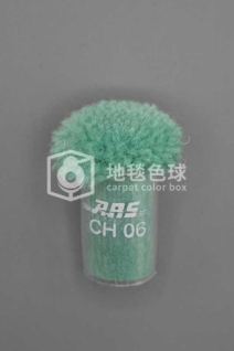 ARS CH06