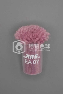 ARS EA07