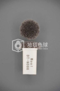 DT N086