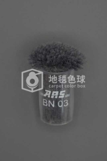 ARS BN03