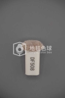 DF508