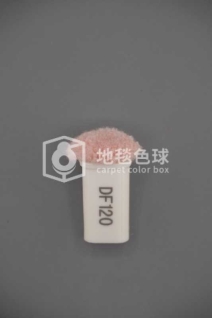 DF120