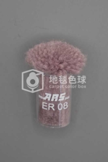 ARS ER08