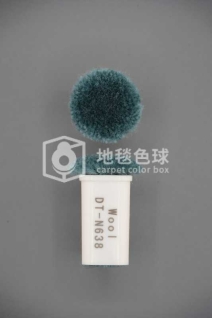 DT N638
