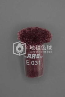 ARS E031