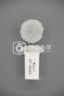 DT N695
