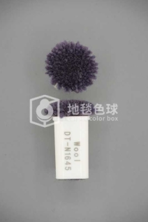 DT N1645