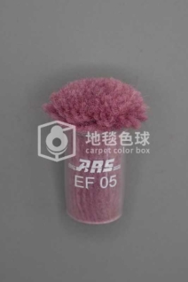 ARS EF05