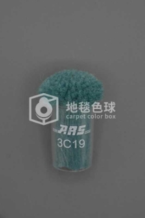 ARS 3C19