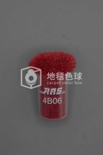 ARS 4B06